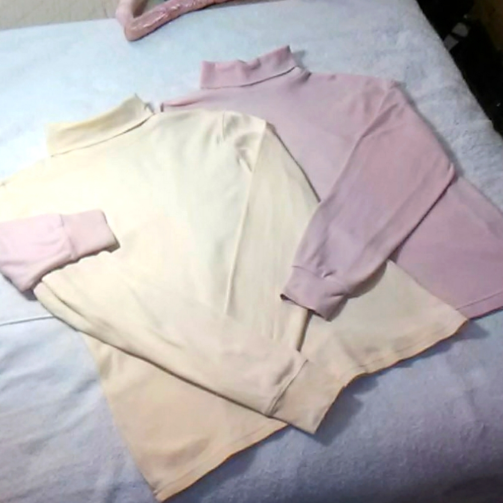 Karen Scott Turtle Neck Tops